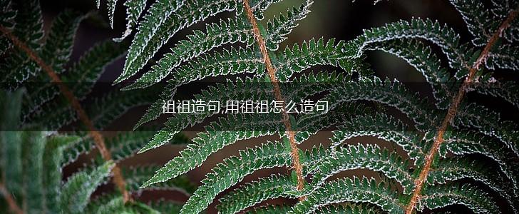 祖祖造句,用祖祖怎么造句,第1张