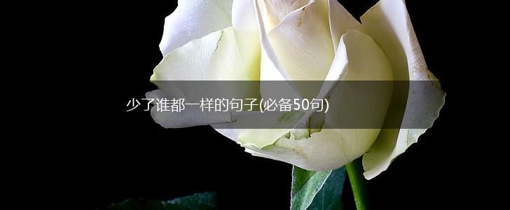 少了谁都一样的句子(必备50句),第1张