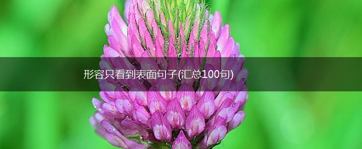 形容只看到表面句子(汇总100句),第1张