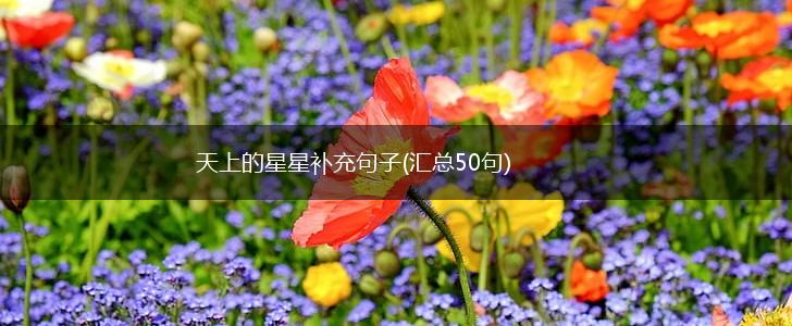 天上的星星补充句子(汇总50句),第1张