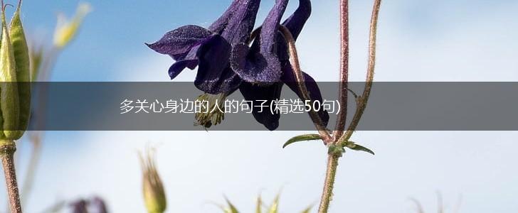 多关心身边的人的句子(精选50句),第1张