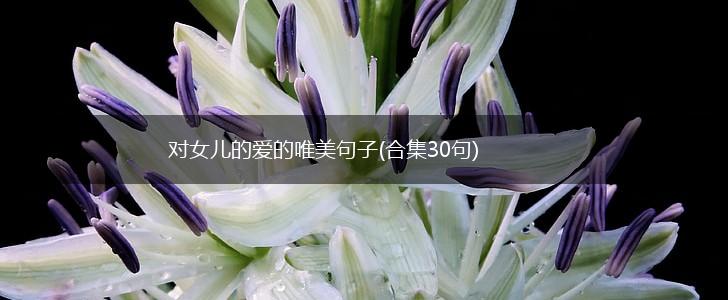 对女儿的爱的唯美句子(合集30句),第1张