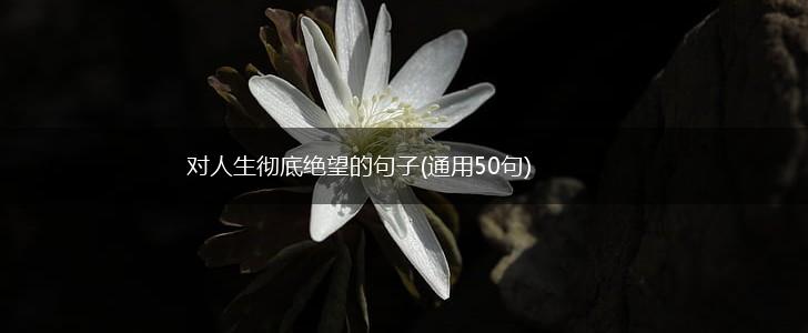 对人生彻底绝望的句子(通用50句),第1张