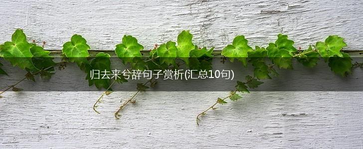 归去来兮辞句子赏析(汇总10句),第1张
