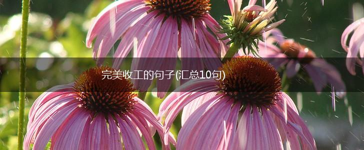 完美收工的句子(汇总10句),第1张