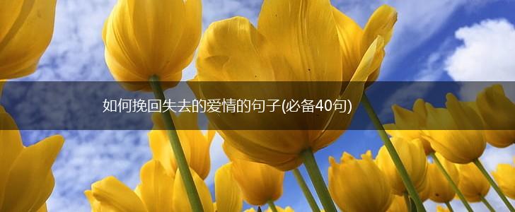如何挽回失去的爱情的句子(必备40句),第1张