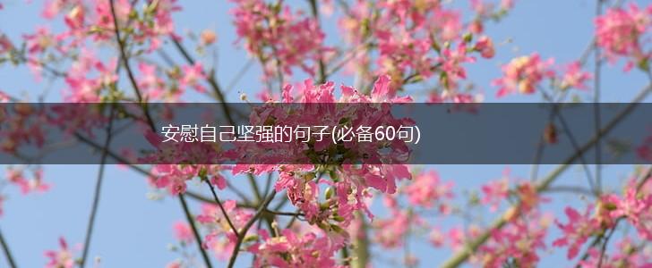 安慰自己坚强的句子(必备60句),第1张
