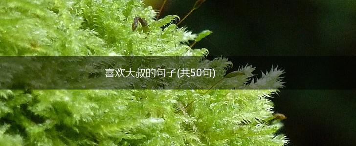 喜欢大叔的句子(共50句),第1张