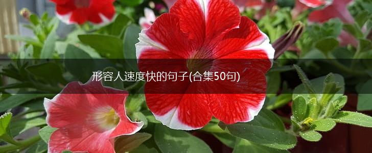 形容人速度快的句子(合集50句),第1张