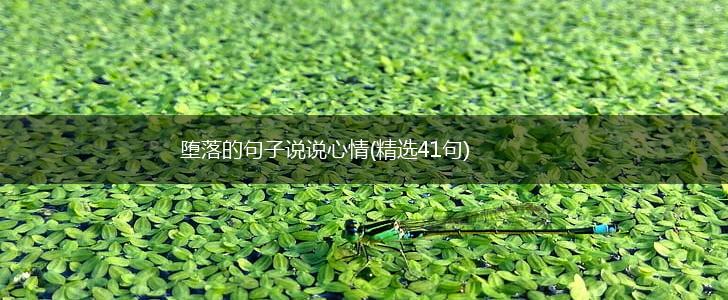 堕落的句子说说心情(精选41句),第1张