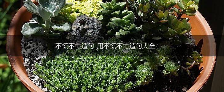 不慌不忙造句_用不慌不忙造句大全,第1张