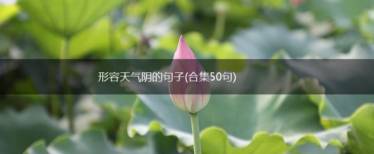 形容天气阴的句子(合集50句),第1张