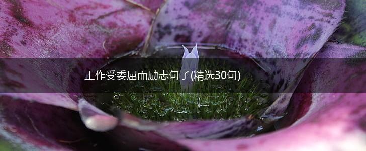 工作受委屈而励志句子(精选30句),第1张