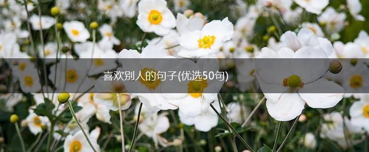 喜欢别人的句子(优选50句),第1张