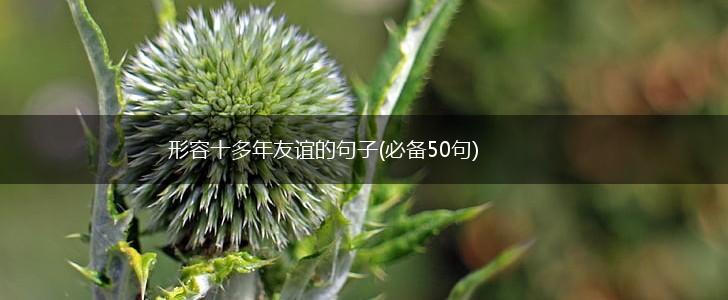 形容十多年友谊的句子(必备50句),第1张