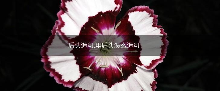 后头造句,用后头怎么造句,第1张 后头造句,用后头怎么造句,第1张