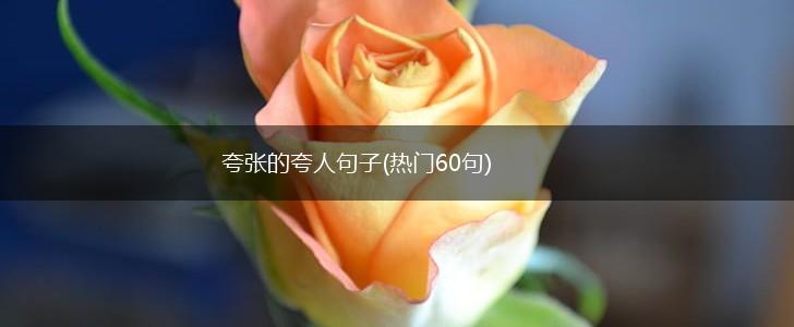 夸张的夸人句子(热门60句),第1张