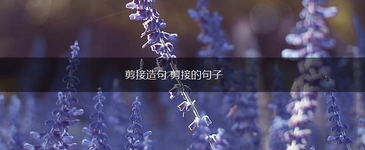 剪接造句 剪接的句子,第1张 剪接造句 剪接的句子,第1张