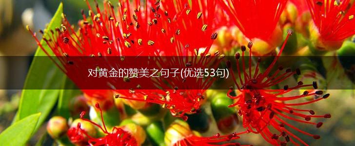 对黄金的赞美之句子(优选53句),第1张