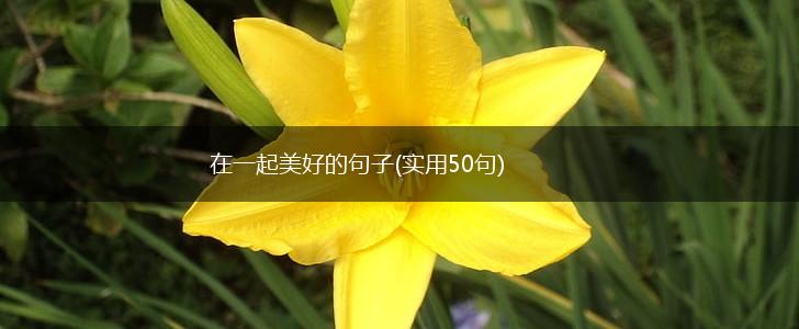 在一起美好的句子(实用50句),第1张