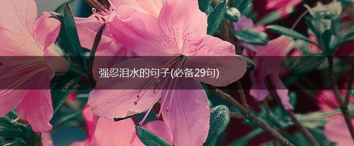 强忍泪水的句子(必备29句),第1张