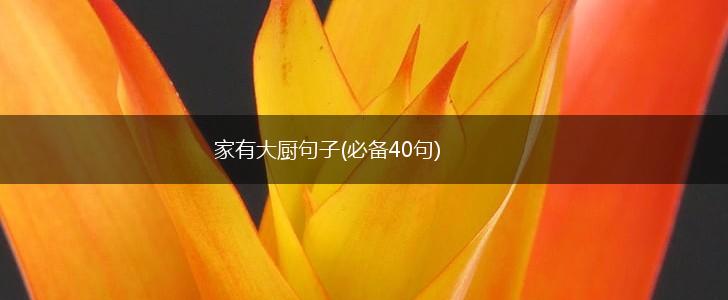 家有大厨句子(必备40句),第1张