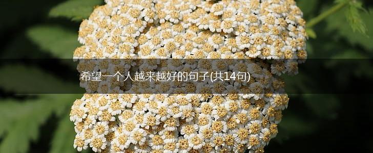 希望一个人越来越好的句子(共14句),第1张