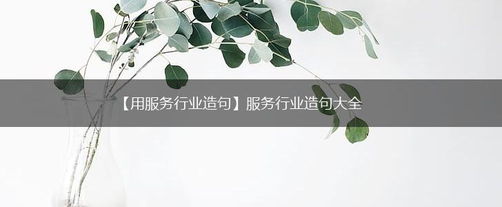 【用服务行业造句】服务行业造句大全,第1张 【用服务行业造句】服务行业造句大全,第1张