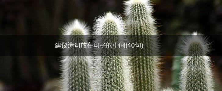 建议造句放在句子的中间(40句),第1张