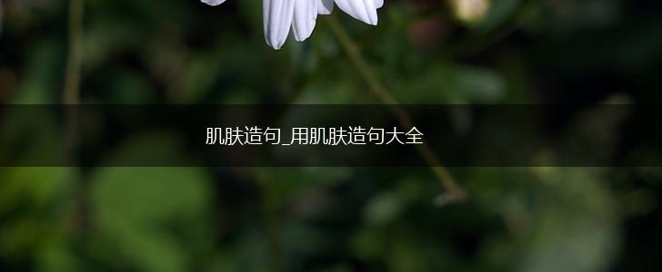 肌肤造句_用肌肤造句大全,第1张 肌肤造句_用肌肤造句大全,第1张