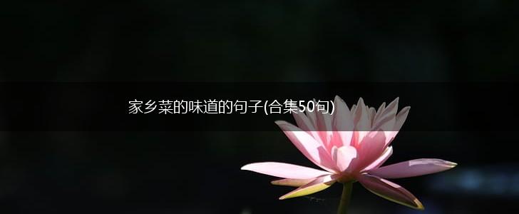 家乡菜的味道的句子(合集50句),第1张