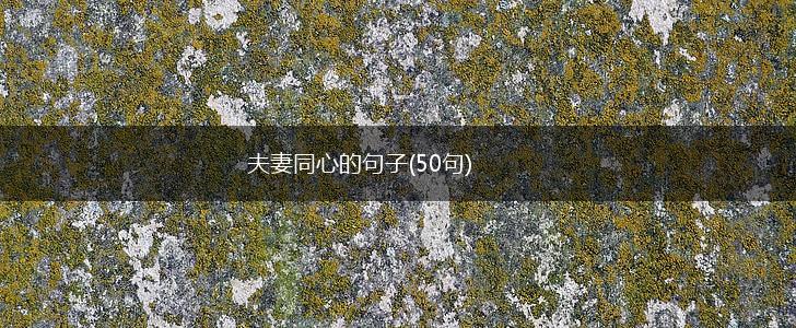 夫妻同心的句子(50句),第1张