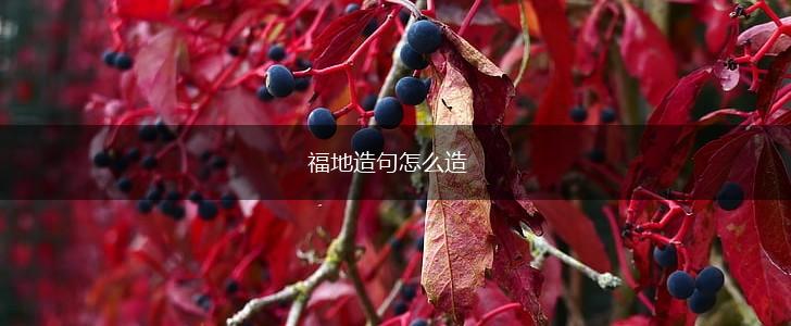 福地造句怎么造,第1张 福地造句怎么造,第1张