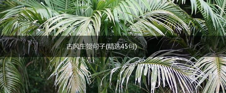古风生贺句子(精选45句),第1张