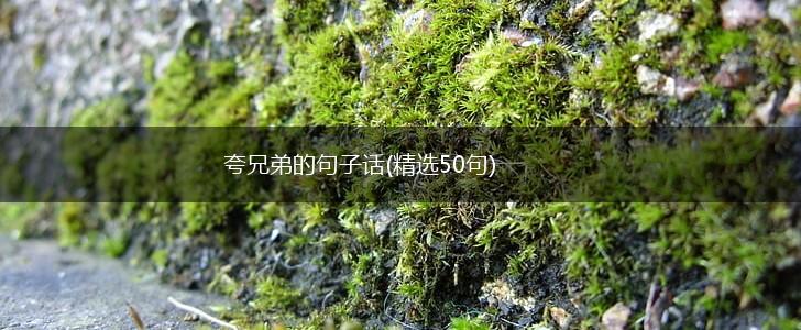 夸兄弟的句子话(精选50句),第1张