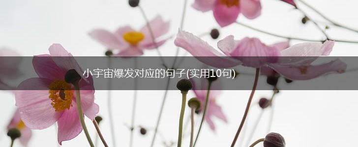 小宇宙爆发对应的句子(实用10句),第1张