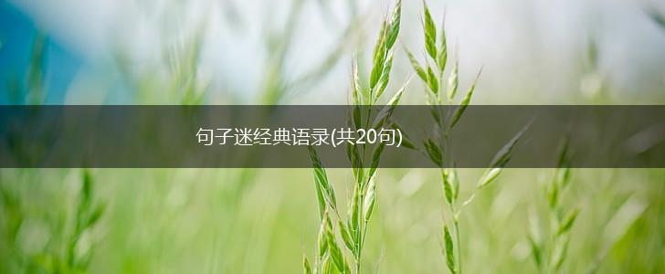 句子迷经典语录(共20句),第1张