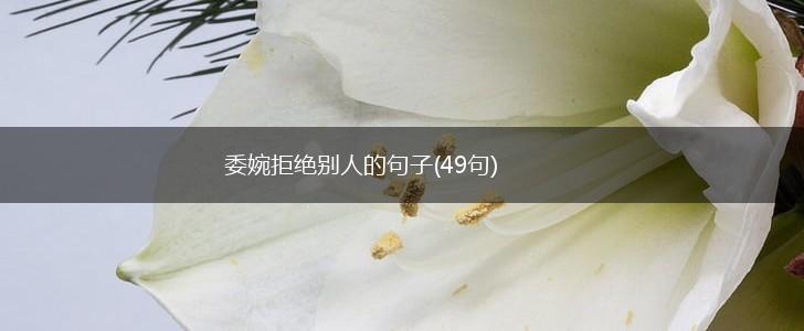 委婉拒绝别人的句子(49句),第1张