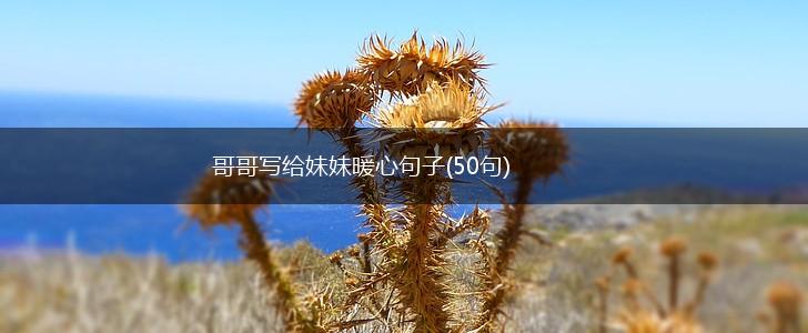 哥哥写给妹妹暖心句子(50句),第1张