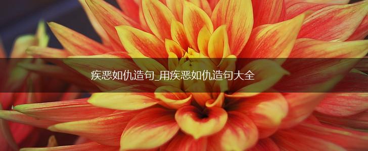 疾恶如仇造句_用疾恶如仇造句大全,第1张 疾恶如仇造句_用疾恶如仇造句大全,第1张