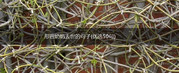 形容奶奶去世的句子(优选50句),第1张