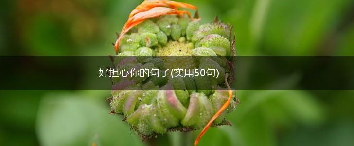 好担心你的句子(实用50句),第1张
