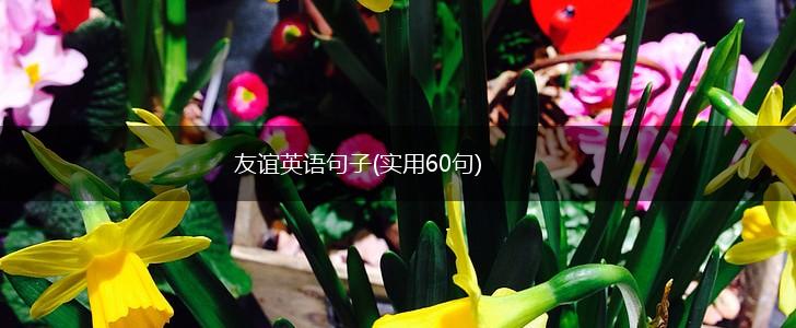 友谊英语句子(实用60句),第1张