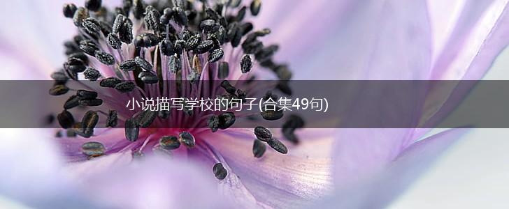 小说描写学校的句子(合集49句),第1张