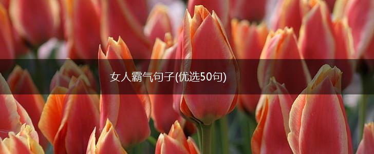 女人霸气句子(优选50句),第1张