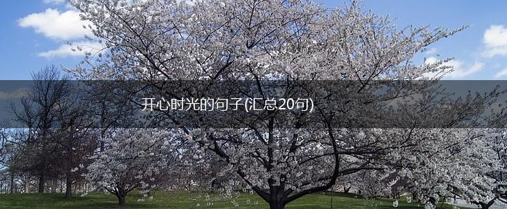 开心时光的句子(汇总20句),第1张