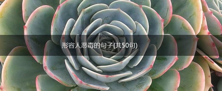 形容人恶毒的句子(共50句),第1张