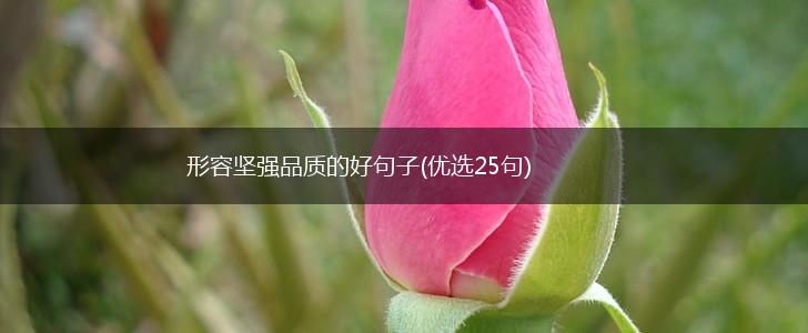 形容坚强品质的好句子(优选25句),第1张