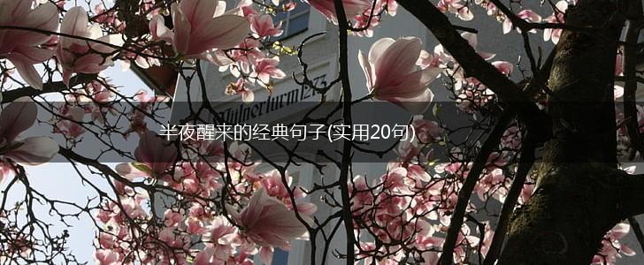 半夜醒来的经典句子(实用20句),第1张