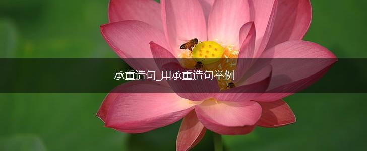 承重造句_用承重造句举例,第1张